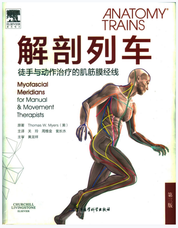 图片[3]-关玲教授结构针灸视频及解剖列车讲课视频教程合集-百度网盘下载