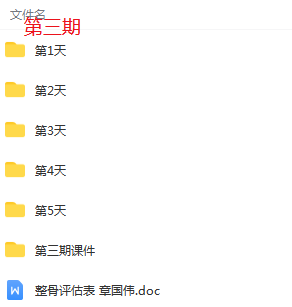 图片[5]-意大利米兰整骨课程6期培训全套高清视频教程带课件-百度网盘下载