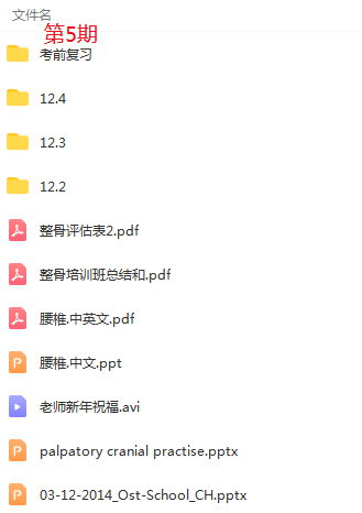 图片[7]-意大利米兰整骨课程6期培训全套高清视频教程带课件-百度网盘下载