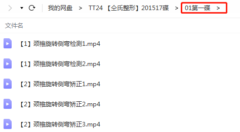 图片[3]-仝氏徒手整形面部颈部手法17节实操视频教程-百度网盘下载