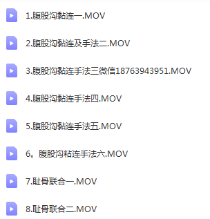 图片[8]-汤氏中医正骨培训班视频教程第25期共12天颈椎胸椎腰椎骨盆手法影像读片-百度网盘下载