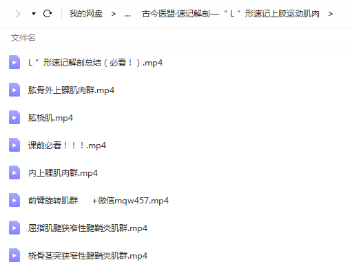 图片[3]-古今医盟31天精通全身176块运动肌高清视频课程-百度网盘下载