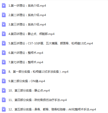 图片[8]-张凯珉颅骶椎疗法全集高清视频教程CSTv1+v2【含AK，整颅、松颅縫】-百度网盘下载