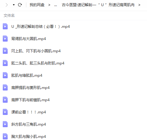 图片[5]-古今医盟31天精通全身176块运动肌高清视频课程-百度网盘下载