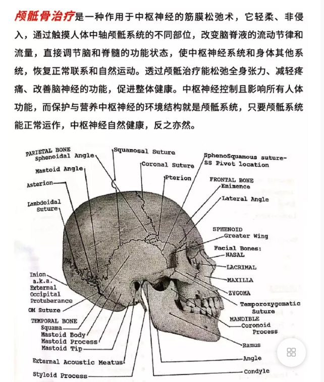 图片[2]-张凯珉颅骶椎疗法全集高清视频教程CSTv1+v2【含AK，整颅、松颅縫】-百度网盘下载