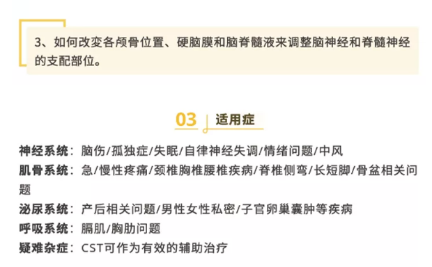 图片[5]-张凯珉颅骶椎疗法全集高清视频教程CSTv1+v2【含AK，整颅、松颅縫】-百度网盘下载