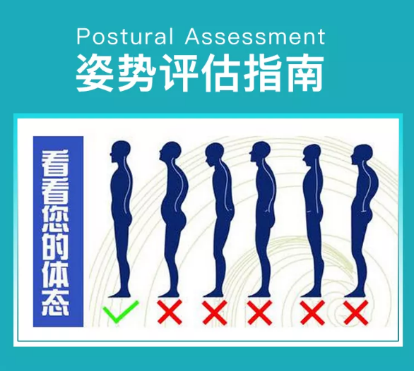 图片[2]-翟佳栋姿势评估指南全集高清视频教程18课-百度网盘下载