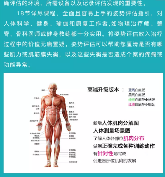 图片[5]-翟佳栋姿势评估指南全集高清视频教程18课-百度网盘下载