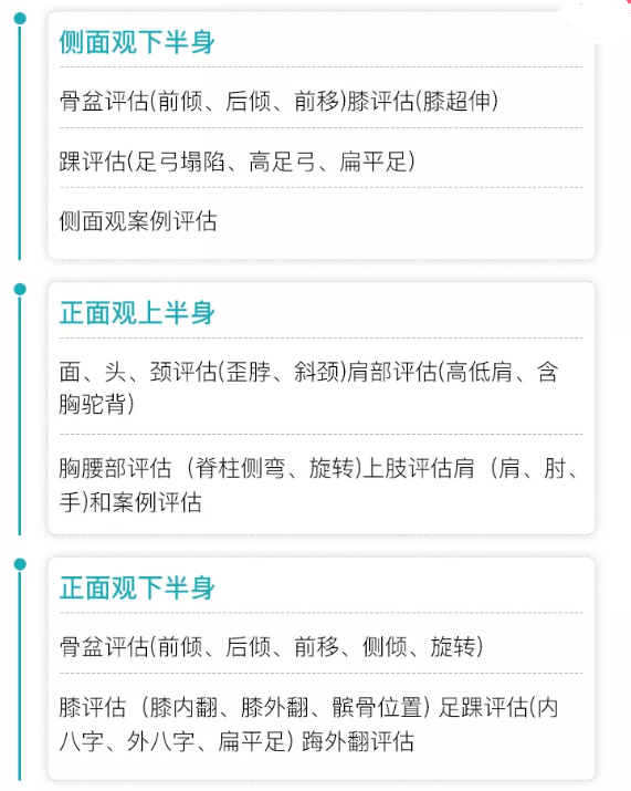 图片[9]-翟佳栋姿势评估指南全集高清视频教程18课-百度网盘下载