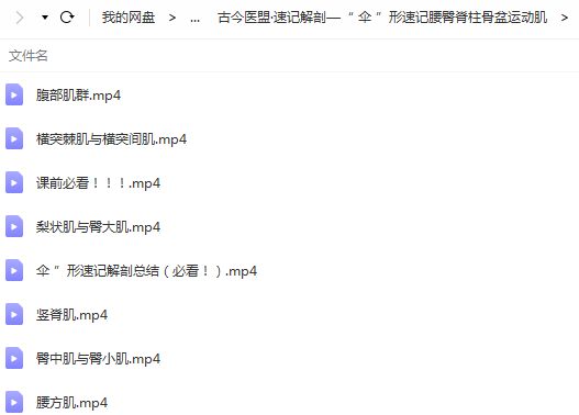 图片[7]-古今医盟31天精通全身176块运动肌高清视频课程-百度网盘下载