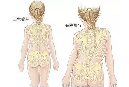 图片[2]-【正骨知识】一个好的正骨师傅需要具备哪些技能？