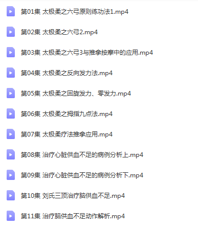 图片[2]-藏医震骨锤肌疗法22讲特色疗法调理多种疾病视频课程-百度网盘下载
