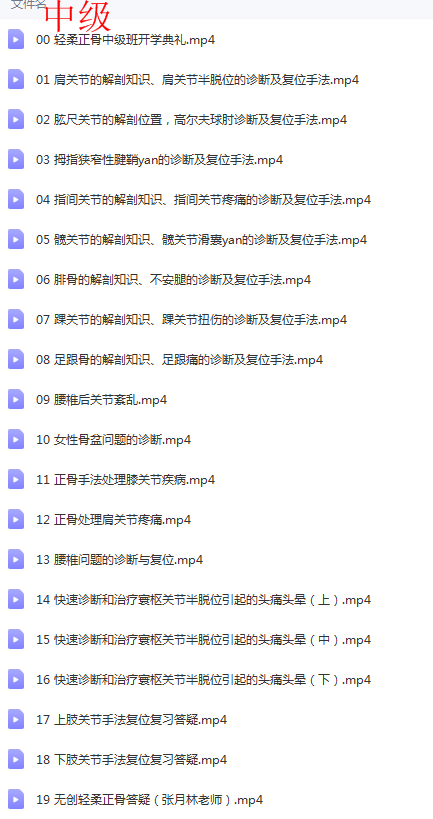图片[5]-张月林轻柔正骨初中高级面授班正骨培训视频教程-百度网盘下载