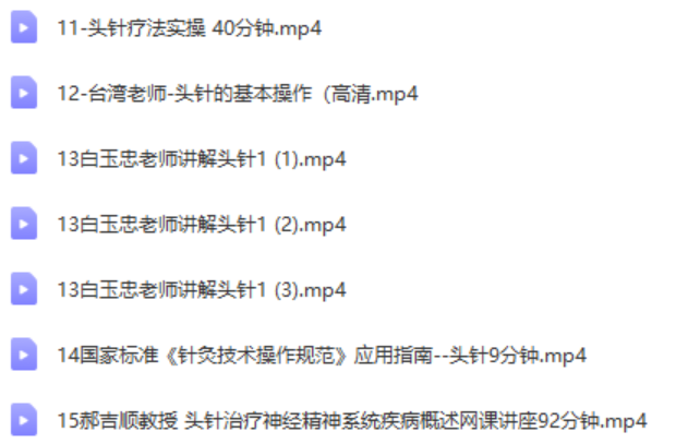 图片[3]-中医针灸头针疗法朱明清朱氏头皮针定位及实操视频教程-百度网盘下载