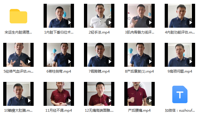 图片[2]-宋运生内脏调理术十二节私教特色主题课视频教程康复私教万能手法-百度网盘下载