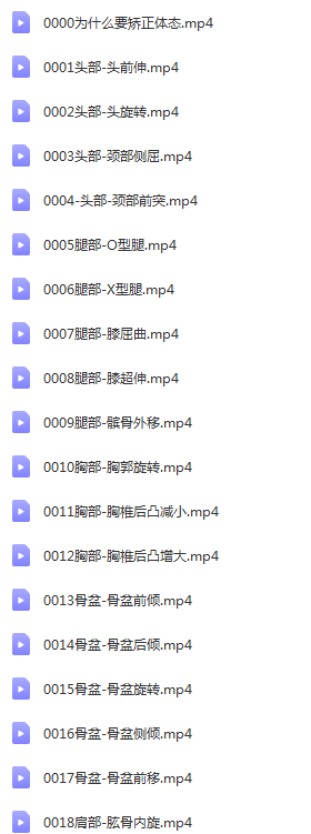 图片[2]-苟文强31种体态矫正训练营专业运动健身康复视频教程-百度网盘下载