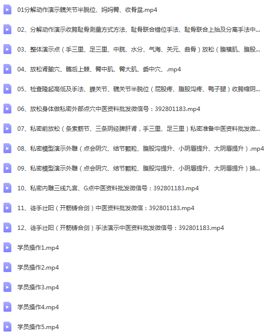 图片[2]-王太坤石家庄徒手私密骨盆产后教学培训含动作分解视频教程-百度网盘下载