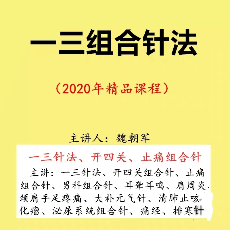 【魏朝军一三针法】中医针灸学视频教程14讲全集-百度网盘下载