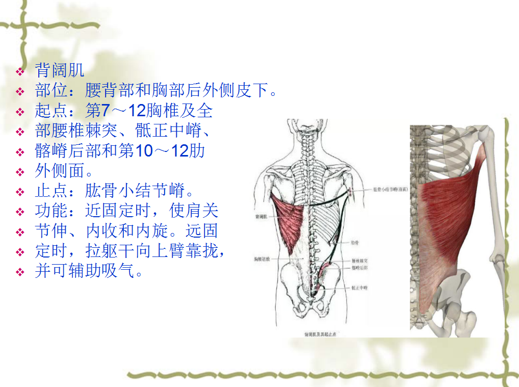 图片[3]-【宋瑞道家玄宗一指寻根术】视频教程650分钟加课件-百度网盘下载