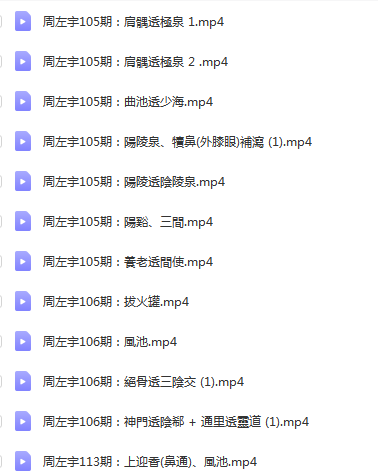 图片[2]-【周左宇中医古典针灸】视频教程音频讲义医道精要资料全集-百度网盘下载