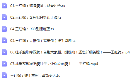 图片[4]-【王红锦中医正骨手法视频教程】徒手整形面部矫正产后康复小颜整骨-百度网盘下载