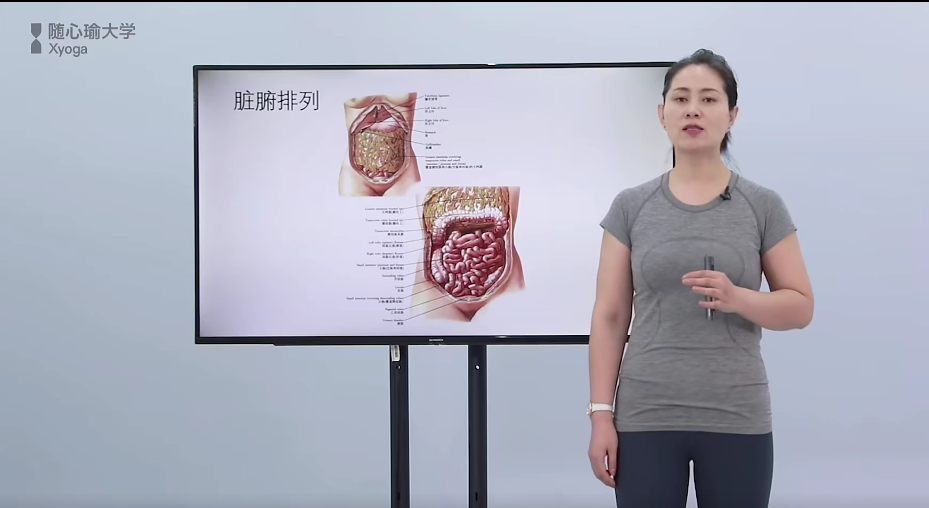 图片[3]-【2021最新吕玉兰ada内脏复位手法】私教手法全精讲视频教程8讲-百度网盘下载
