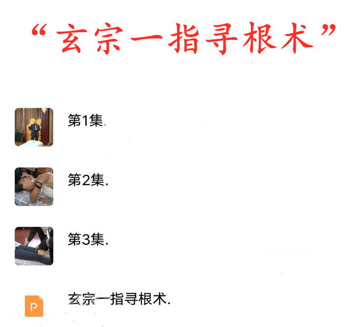 图片[4]-【宋瑞道家玄宗一指寻根术】视频教程650分钟加课件-百度网盘下载