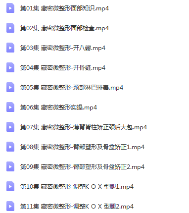 图片[2]-【2020年藏医徒手微整形】11节实操视频教程-百度网盘下载