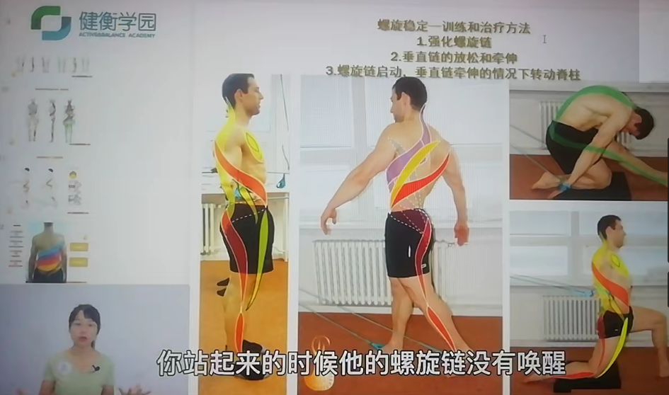 图片[3]-《SPS螺旋肌肉链稳定一阶全集课程》理论加实操19讲国语视频教程-百度网盘下载