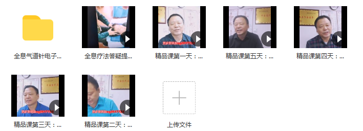 图片[3]-魏友民魏氏全息气道针培训班5天视频教程【百度网盘下载】