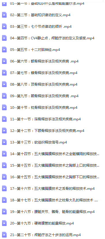 图片[2]-刘兆军颅骶能量疗法高清视频教程21讲【百度网盘下载】