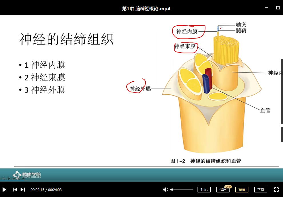 图片[4]-【郑大脑神经反射疗法】功能评估与治疗高清视频教程-百度网盘下载