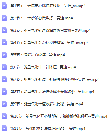图片[2]-吴迪能量气化针中医针灸高清视频教程-百度网盘下载