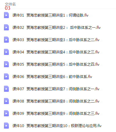 图片[6]-贾海忠特效针刺疗法系列讲座视频教程全集-百度网盘下载