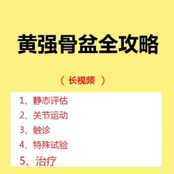 黄强骨盆评估触诊治疗全攻略网课中医视频教程360分钟-百度网盘下载-正骨教程博客