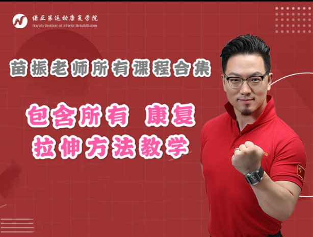苗振诺亚第拉伸疗法医师专修班全集视频教程【百度网盘下载】