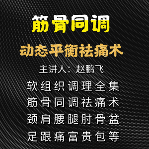 赵鹏飞筋骨同调动态平衡祛痛术视频教程-百度网盘下载-正骨教程博客