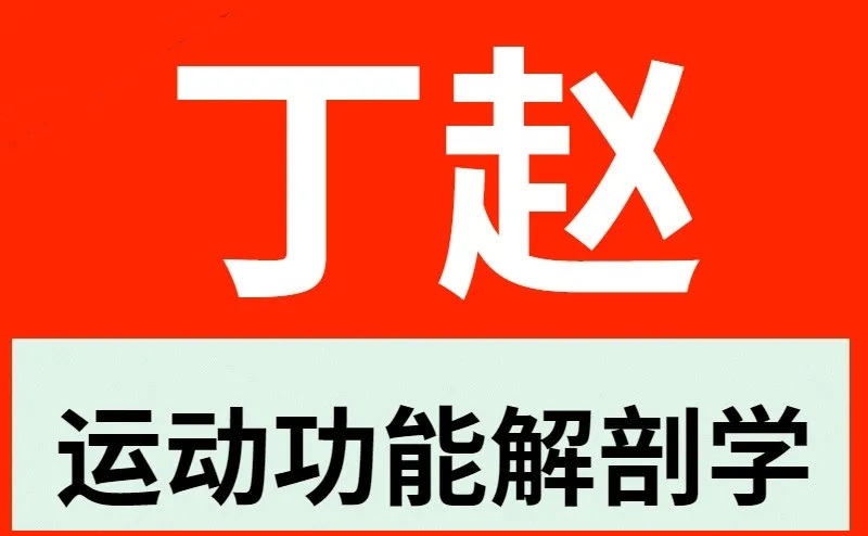 丁赵-周围神经与运动功能解剖学中医视频教程(301课程）【百度网盘下载】