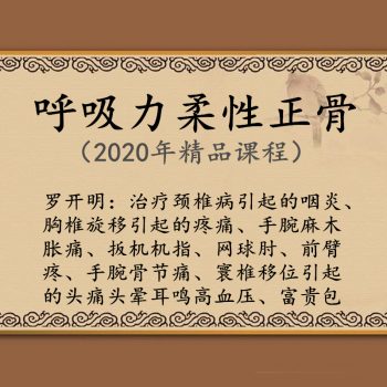 2020年罗开民呼吸力柔性正骨颈胸腰椎骶髂关节中医正骨高清视频教程-百度网盘下载-正骨教程博客
