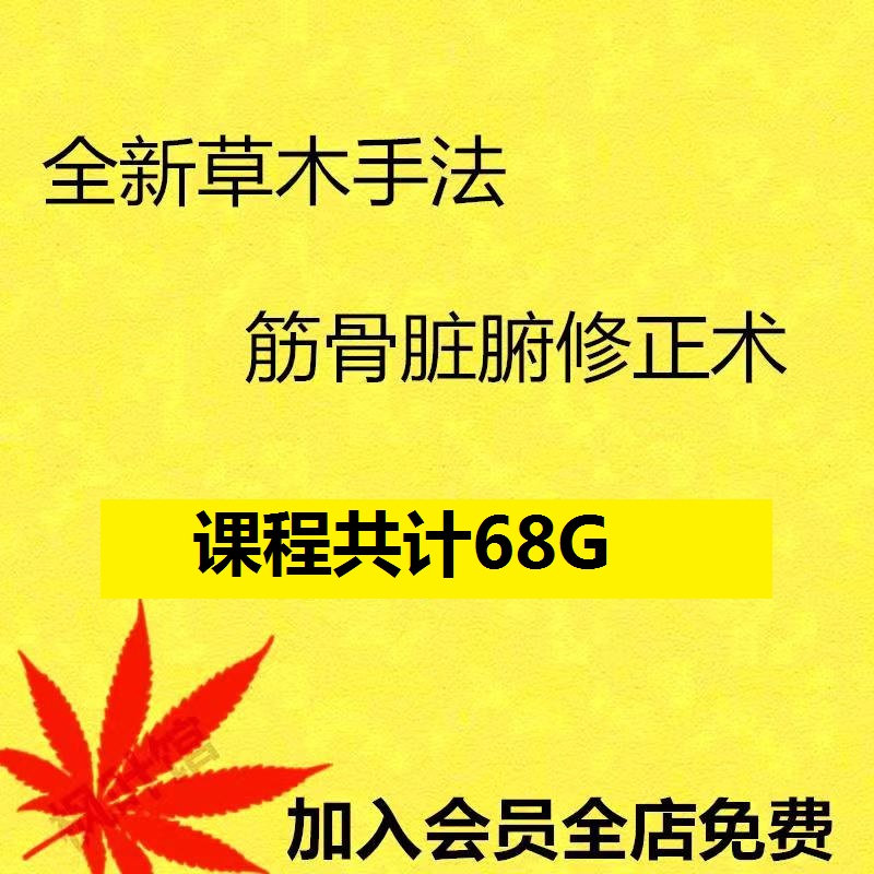 中医基础理论草木手法筋骨脏腑修正术视频教程【百度网盘下载】