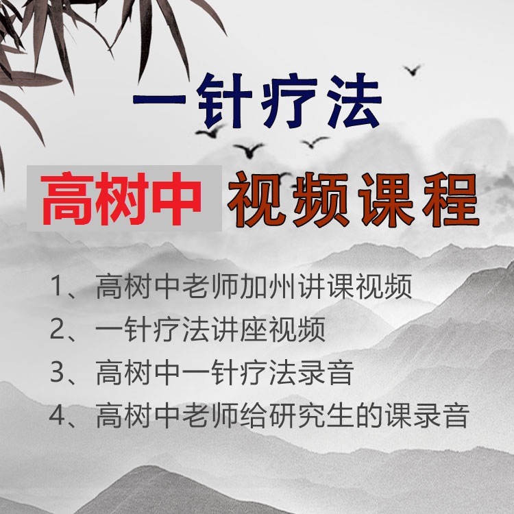 高树中针疗法视频教程常见病的一针疗法合集【百度网盘下载】