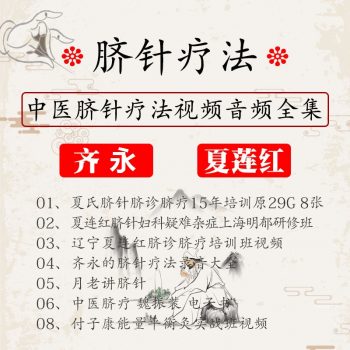 齐永夏连红脐针疗法课程全套中医针灸视频教程-百度网盘下载-正骨教程博客