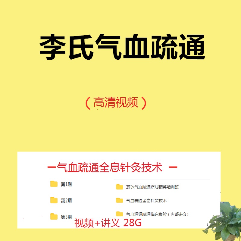 李正坤气血疏通疗法精英培训中医视频教程【百度网盘下载】