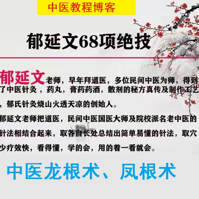 郁延文68项绝技中医手法龙根术凤根术实操高清视频教程【百度网盘下载】