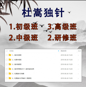 杜嵩独针初级班中级班高级班研修班视频教程合集-百度网盘下载-正骨教程博客
