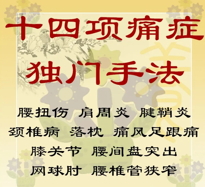十四项痛症独门手法高清视频蒙医拨毒俞痛资料中医视频教程【百度网盘下载】