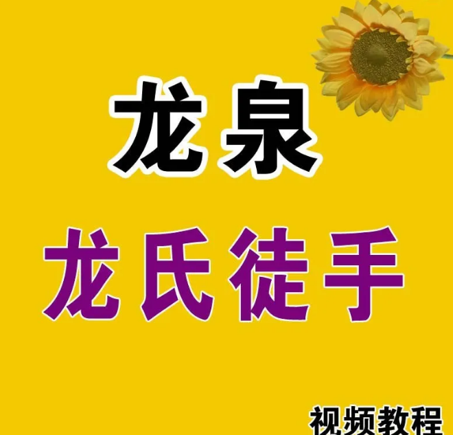 龙泉龙氏徒手一指私密正骨整形缩阴徒手根雕全程视频教程【百度网盘下载】