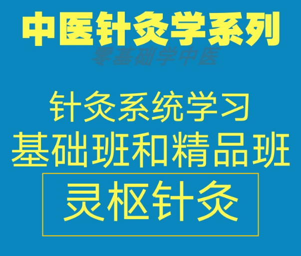 针灸入门学习课程-灵枢针灸初级和精品班培训中医针灸视频教程【百度网盘下载】