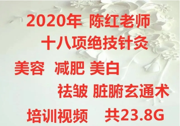 2020陈红十八项绝技针灸美容减肥美白祛皱脏腑玄通术培训视频教程【百度网盘下载】
