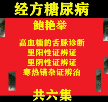 鲍艳举经方治疗糖尿病临床入门中医高清视频教程6集-百度网盘下载-正骨教程博客